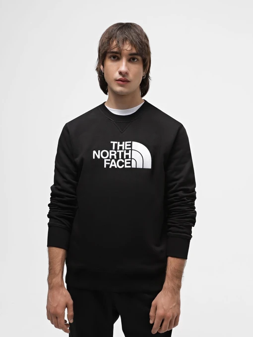 Худи и свитшоты The North Face Drew Peak Crew Neck модель NF0A4SVRKY41 Фото