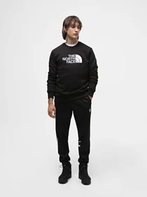 Худи и свитшоты The North Face Drew Peak Crew Neck модель NF0A4SVRKY41 Фото