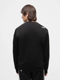 Худи и свитшоты The North Face Drew Peak Crew Neck модель NF0A4SVRKY41 Фото