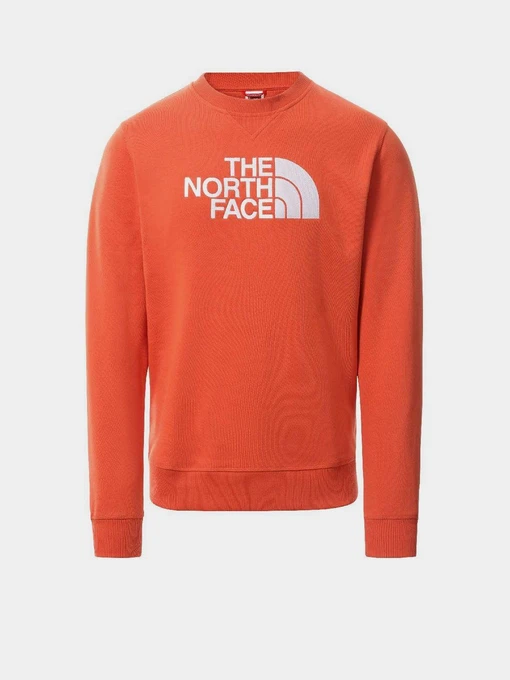 Худі та світшоти The North Face Drew Peak Crew Neck модель NF0A4SVREMJ1 Фото