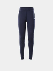 Брюки The North Face Nse модель NF0A55GSH2G1 Фото