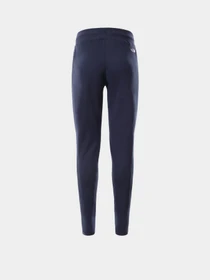 Брюки The North Face Nse модель NF0A55GSH2G1 Фото