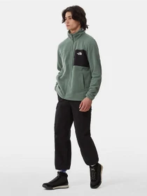 Худи и свитшоты The North Face Homesafe Full-Zip Fleece модель NF0A55HLV1T1 Фото