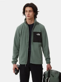 Худи и свитшоты The North Face Homesafe Full-Zip Fleece модель NF0A55HLV1T1 Фото
