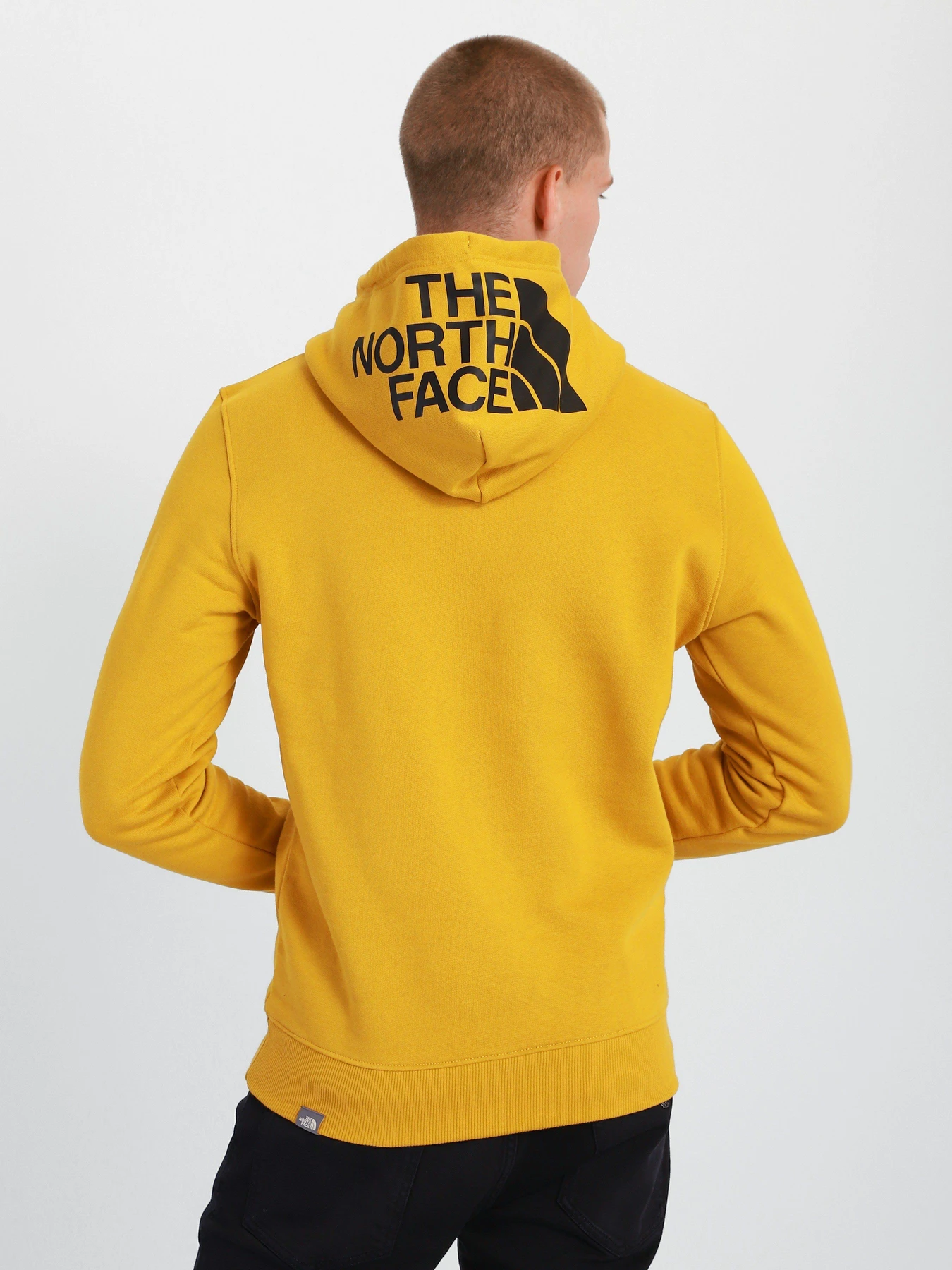 Худі та світшоти The North Face Seasonal Drew Peak модель NF0A2TUVH9D1 Фото