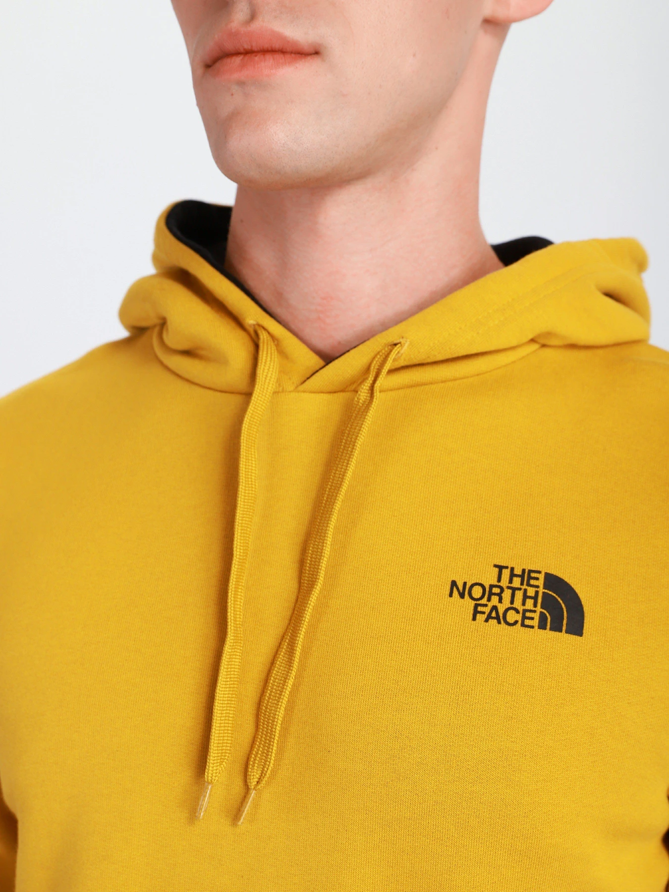 Худі та світшоти The North Face Seasonal Drew Peak модель NF0A2TUVH9D1 Фото