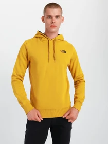 Худі та світшоти The North Face Seasonal Drew Peak модель NF0A2TUVH9D1 Фото