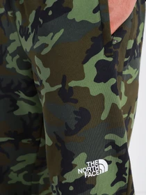 Штани The North Face Nse Outdoor модель NF0A4SVQ2871 Фото
