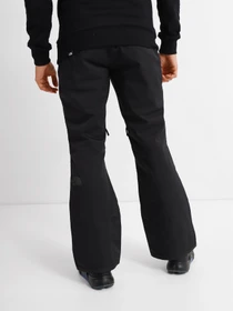 Брюки The North Face Chakal модель NF0A5IYVJK31 Фото