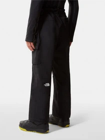 Брюки The North Face Slashback Cargo модель NF0A5ABXJK31 Фото