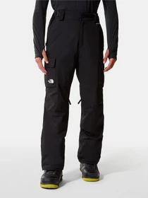 Брюки The North Face Slashback Cargo модель NF0A5ABXJK31 Фото