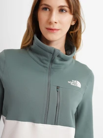 Худі та світшоти The North Face Tagen 1/4 Zip Fleece модель NF0A5ADD1101 Фото