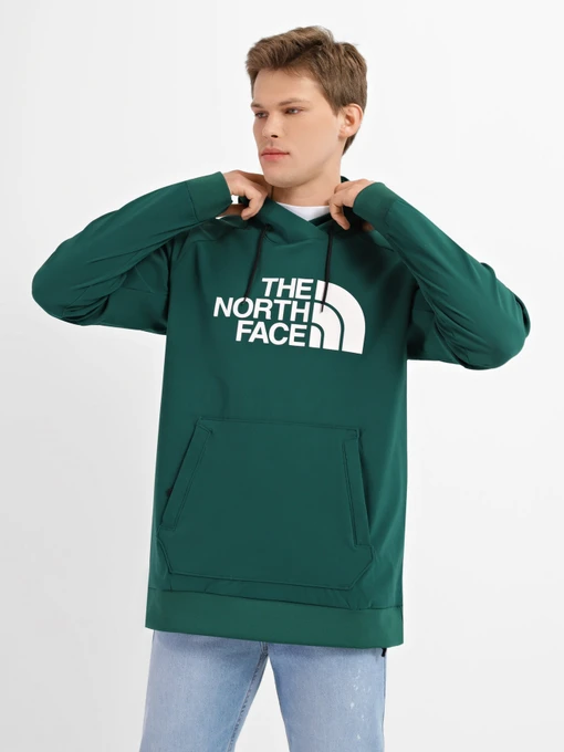 Худи и свитшоты The North Face Tekno Logo модель NF0A3M4EN3P1 Фото