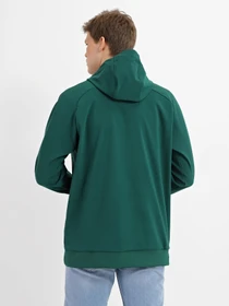 Худи и свитшоты The North Face Tekno Logo модель NF0A3M4EN3P1 Фото