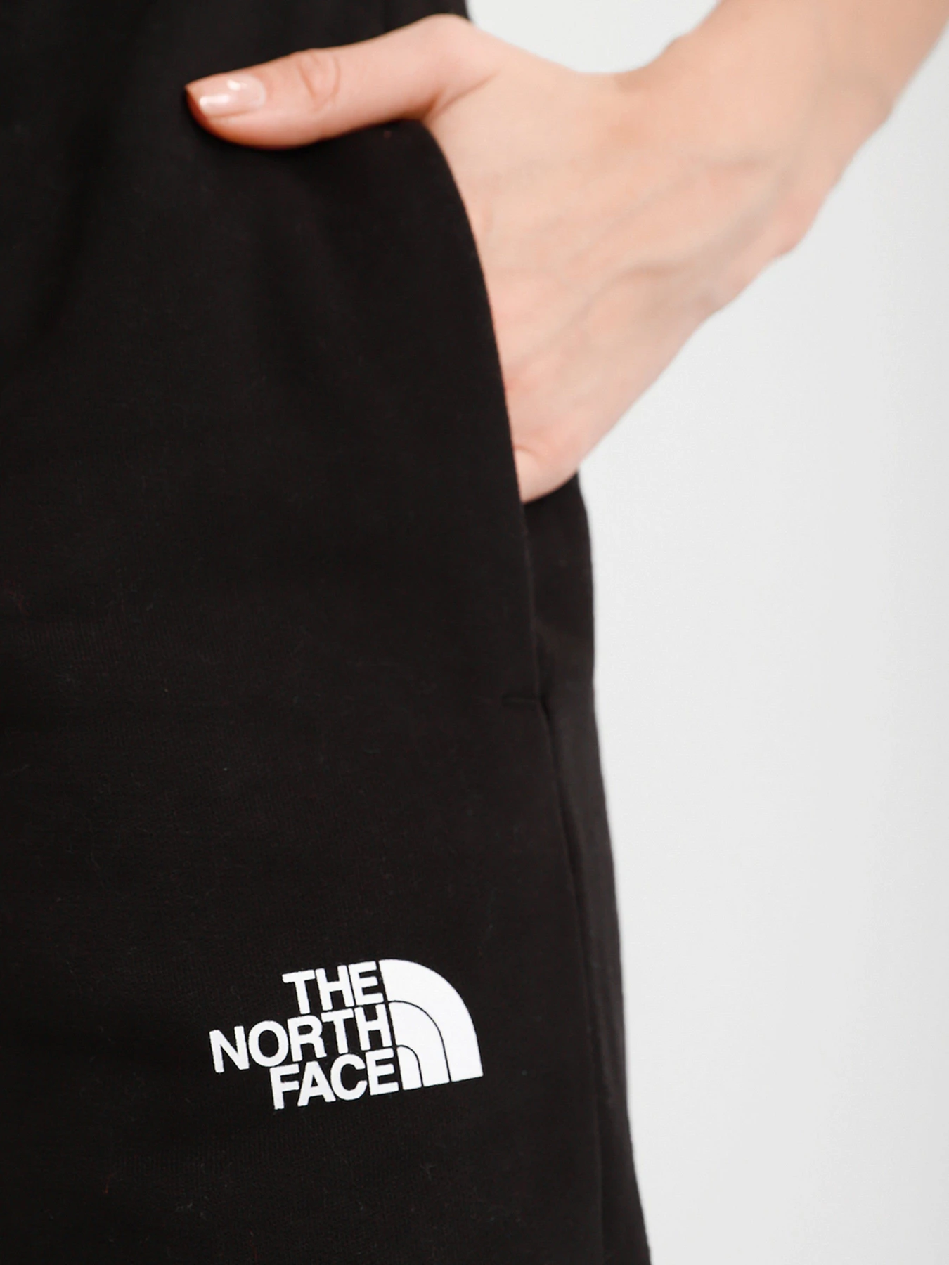 Брюки The North Face Expedition Graphic Pant модель NF0A5ICSJK31 Фото