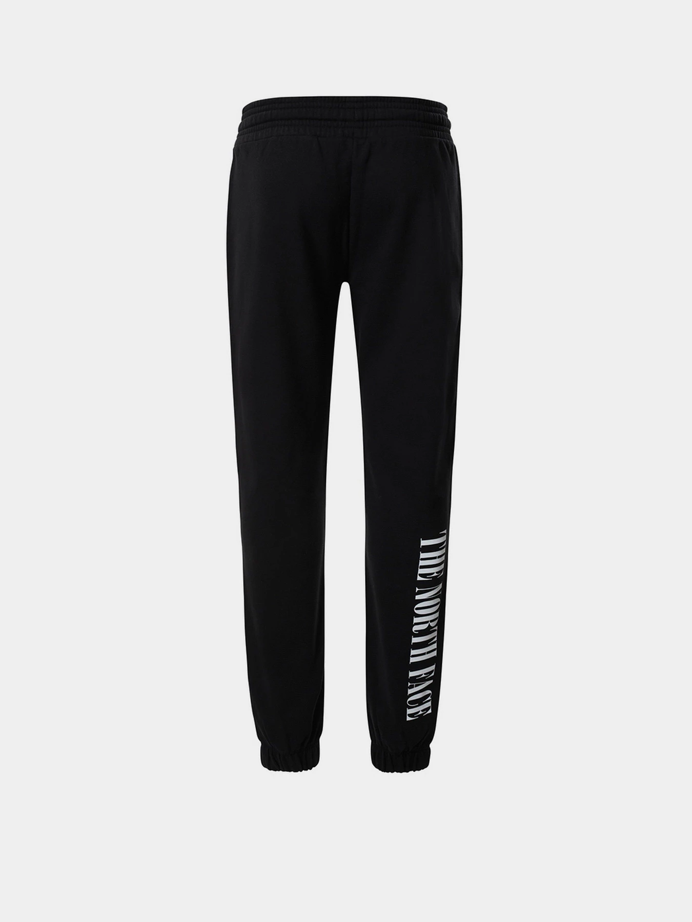 Брюки The North Face Expedition Graphic Pant модель NF0A5ICSJK31 Фото