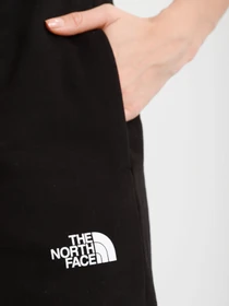 Брюки The North Face Expedition Graphic Pant модель NF0A5ICSJK31 Фото