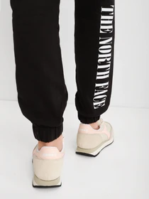 Брюки The North Face Expedition Graphic Pant модель NF0A5ICSJK31 Фото