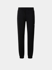 Брюки The North Face Expedition Graphic Pant модель NF0A5ICSJK31 Фото