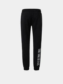 Брюки The North Face Expedition Graphic Pant модель NF0A5ICSJK31 Фото