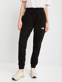 Брюки The North Face Expedition Graphic Pant модель NF0A5ICSJK31 Фото