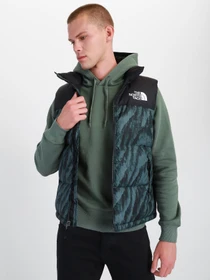 Куртки и дубленки The North Face 1996 Retro Nuptse модель NF0A5IX529L1 Фото