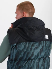 Куртки и дубленки The North Face 1996 Retro Nuptse модель NF0A5IX529L1 Фото