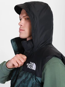 Куртки и дубленки The North Face 1996 Retro Nuptse модель NF0A5IX529L1 Фото