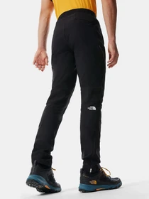 Брюки The North Face Speedtour модель NF0A4M9HKX71 Фото