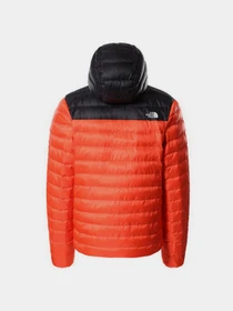 Куртки и дубленки The North Face Resolve модель NF0A4M9PWU51 Фото