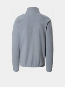 Худі та світшоти The North Face 100 Glacier 1/4 Zip Zip модель NF0A5IHPZDK1 Фото