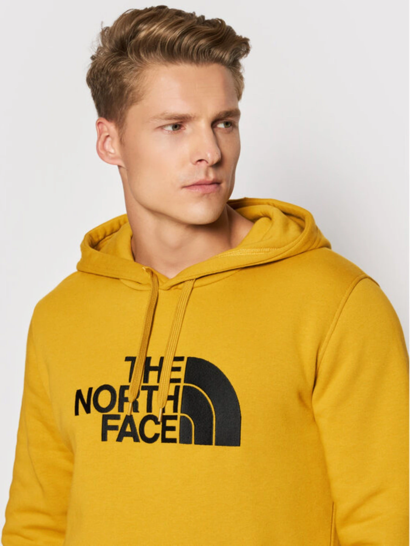Худі та світшоти The North Face Drew Peak модель NF00AHJYH9D1 Худі та світшоти The North Face Drew Peak модель NF00AHJYH9D1 Фото