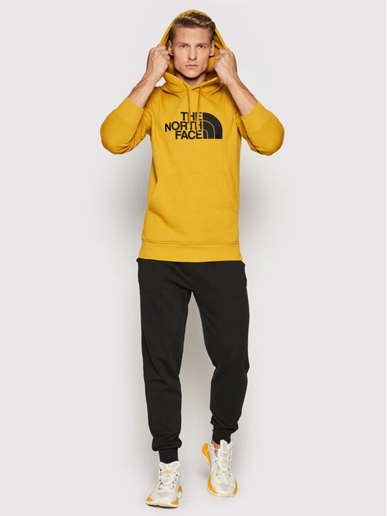 Худі та світшоти The North Face Drew Peak модель NF00AHJYH9D1 Худі та світшоти The North Face Drew Peak модель NF00AHJYH9D1 Фото