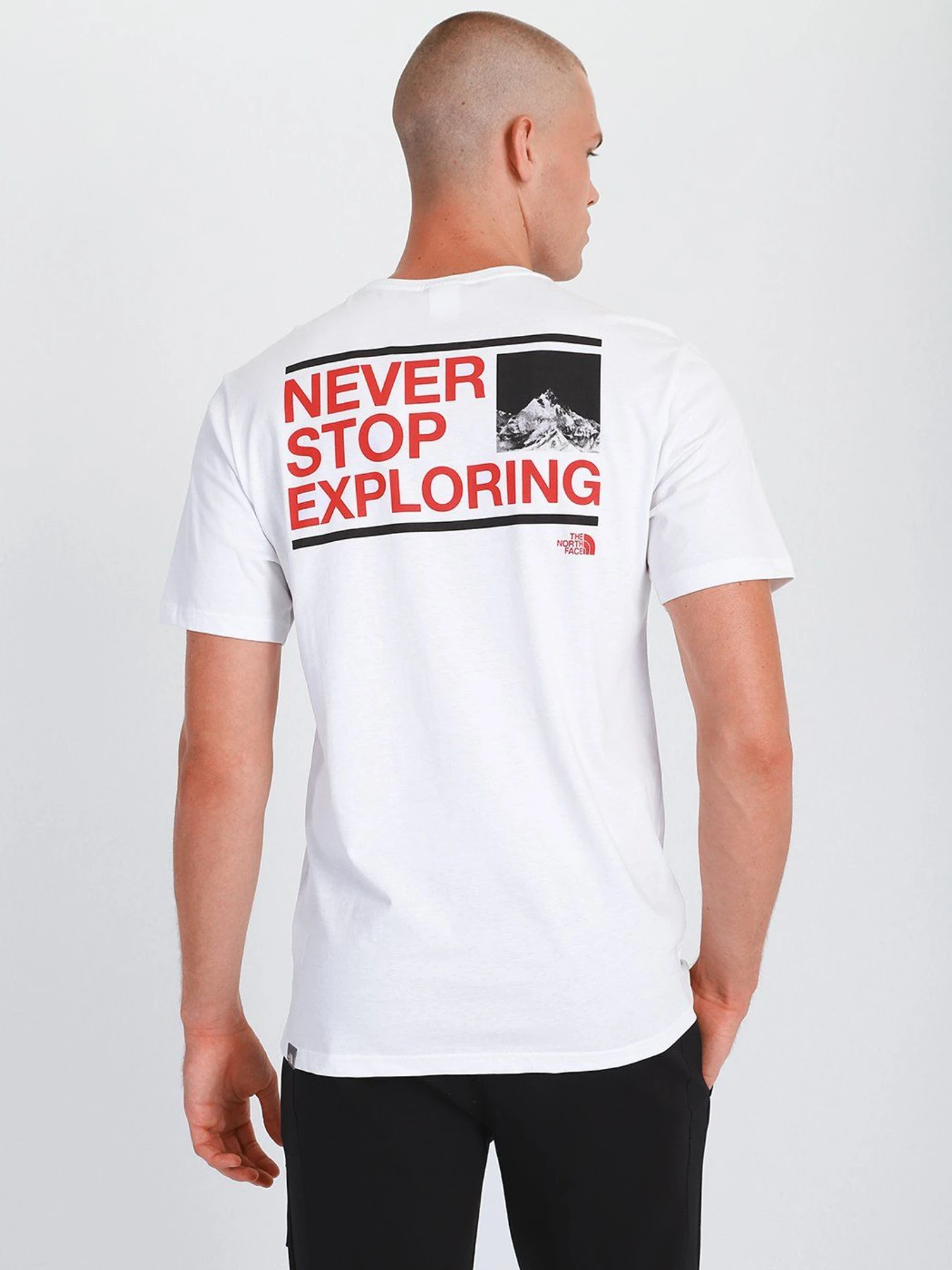 Футболки и поло The North Face Logo-Print модель NF0A559PKB51 Футболки и поло The North Face Logo-Print модель NF0A559PKB51 Фото