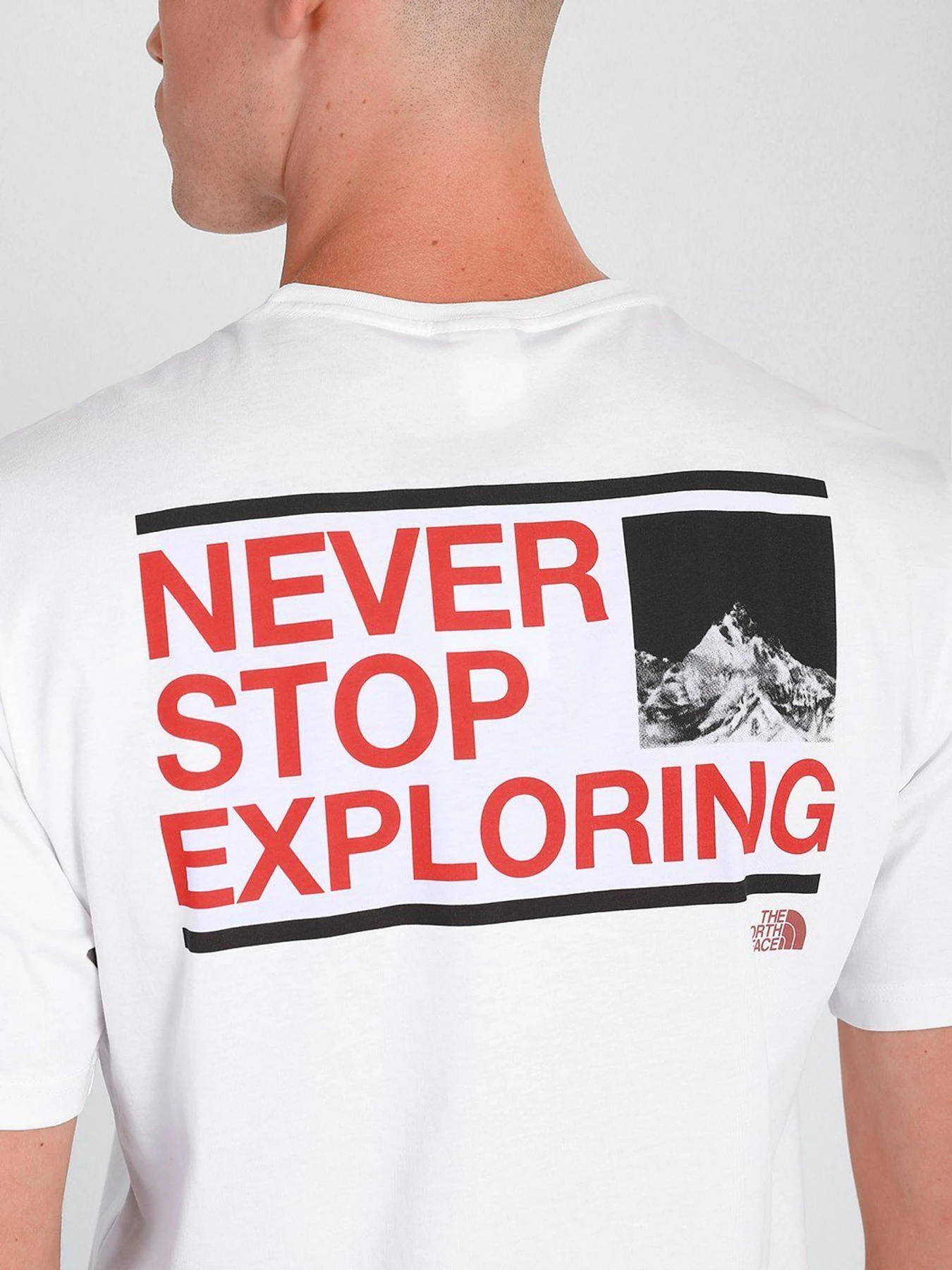 Футболки и поло The North Face Logo-Print модель NF0A559PKB51 Футболки и поло The North Face Logo-Print модель NF0A559PKB51 Фото