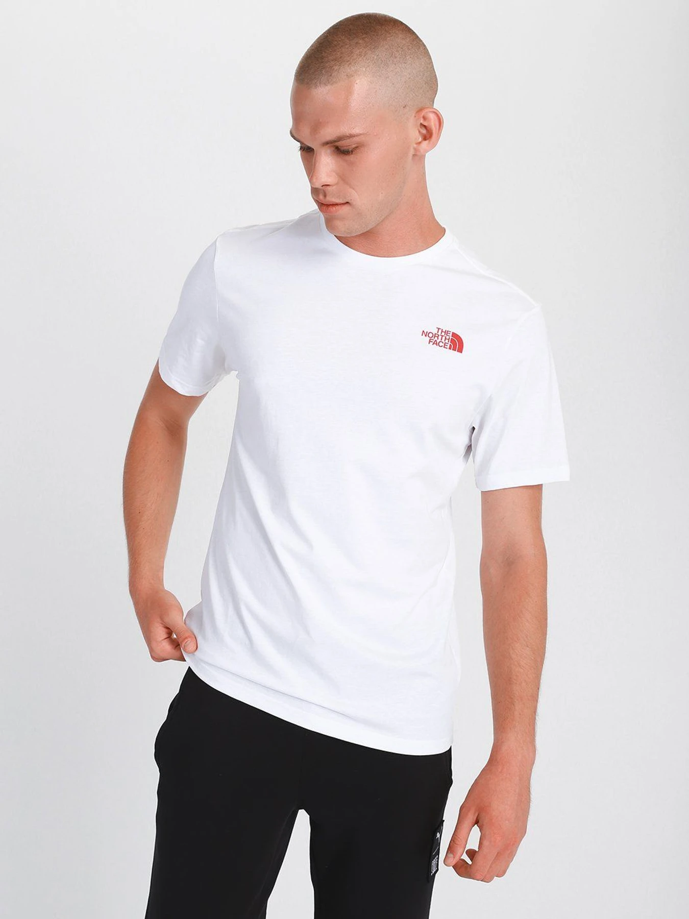 Футболки и поло The North Face Logo-Print модель NF0A559PKB51 Футболки и поло The North Face Logo-Print модель NF0A559PKB51 Фото