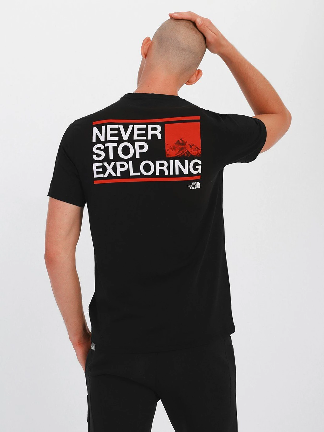 Футболки и поло The North Face Logo-Print модель NF0A559P0RL1 Футболки и поло The North Face Logo-Print модель NF0A559P0RL1 Фото