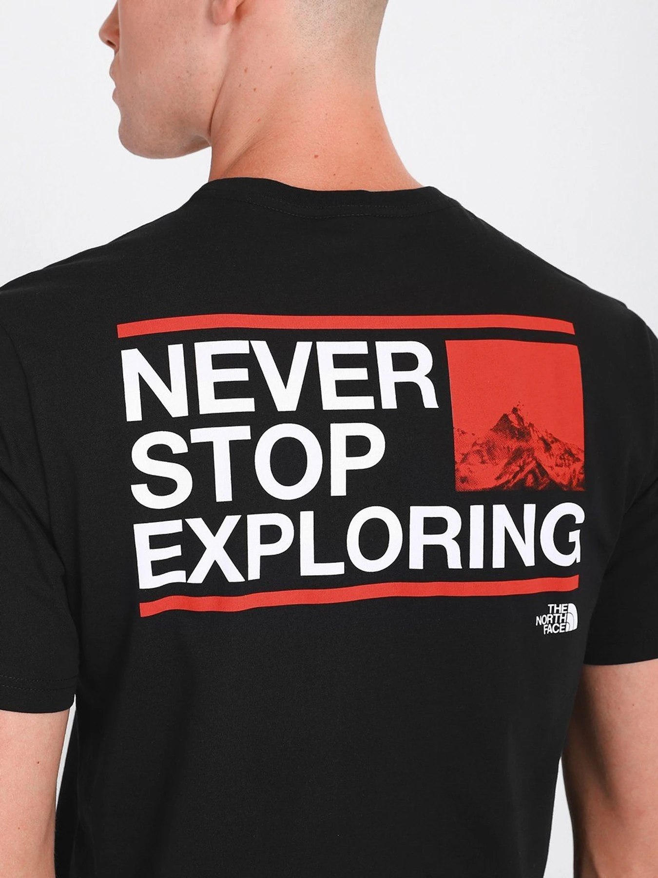 Футболки и поло The North Face Logo-Print модель NF0A559P0RL1 Футболки и поло The North Face Logo-Print модель NF0A559P0RL1 Фото