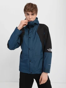 Куртки и дубленки The North Face Mountain Light модель NF0A3XY5BH71 Фото