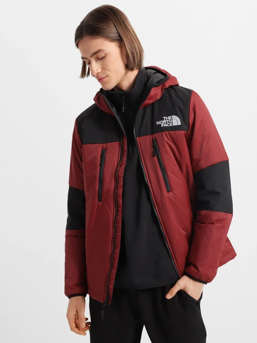 Куртки и дубленки The North Face Himalayan Light Synth Hoodie модель NF0A3L2GBDQ1 Фото