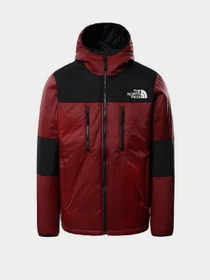 Куртки и дубленки The North Face Himalayan Light Synth Hoodie модель NF0A3L2GBDQ1 Фото