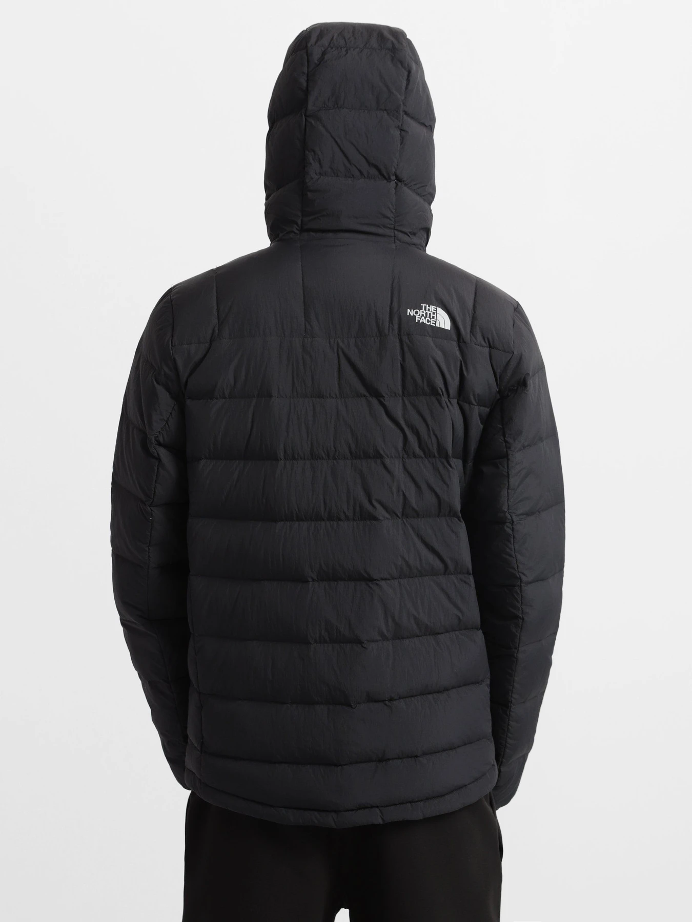 Куртки и дубленки The North Face Lapaz модель NF00CYG9JK31 Куртки и дубленки The North Face Lapaz модель NF00CYG9JK31 Фото