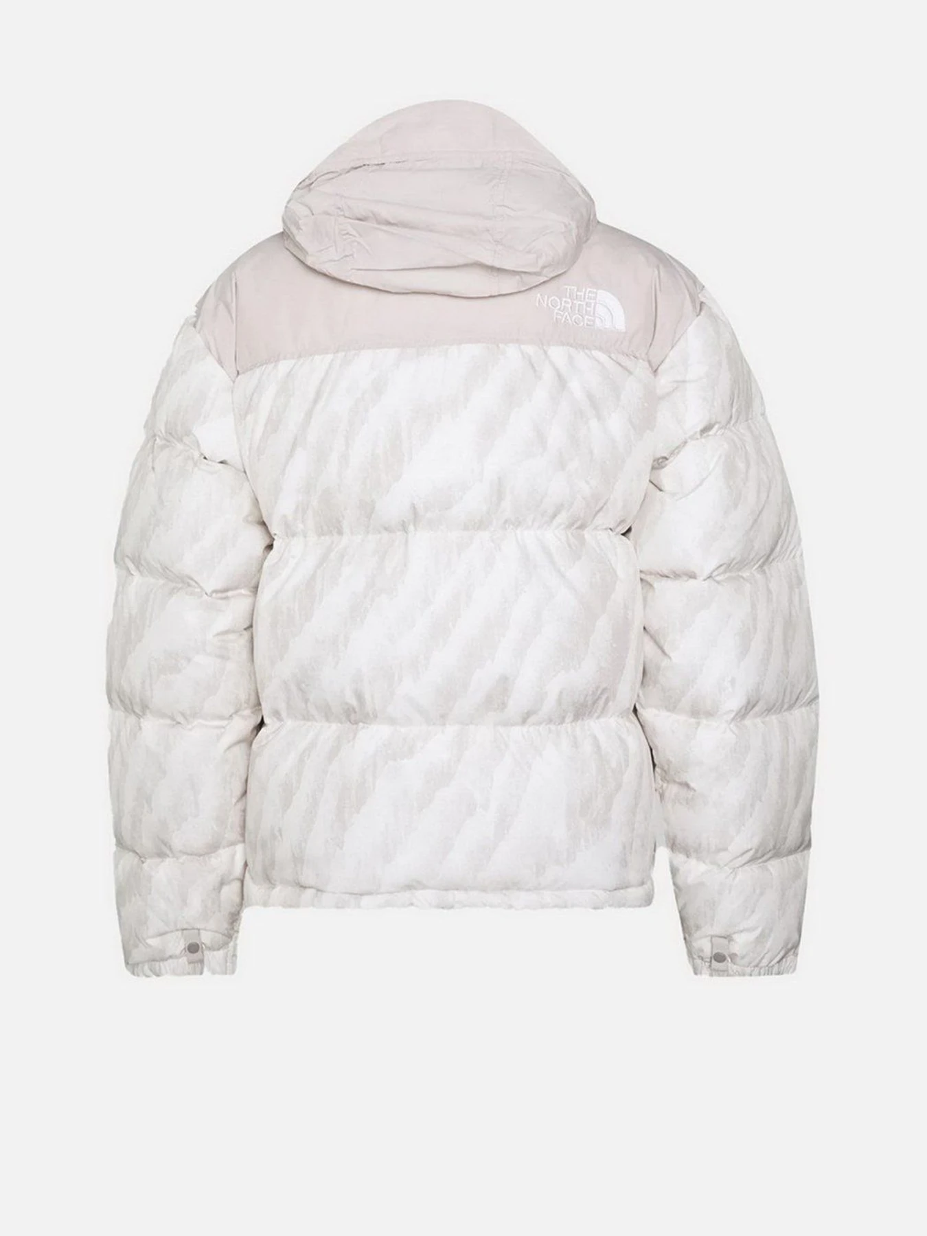 Куртки и дубленки The North Face Retro Nuptse 1996 модель NF0A5IX42L01 Фото