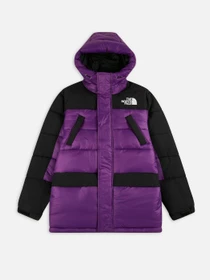 Куртки и дубленки The North Face Himalayan Insulated модель NF0A4QZ5JC01 Фото