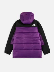 Куртки и дубленки The North Face Himalayan Insulated модель NF0A4QZ5JC01 Фото