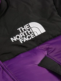 Куртки и дубленки The North Face Himalayan Insulated модель NF0A4QZ5JC01 Фото
