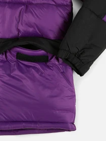 Куртки и дубленки The North Face Himalayan Insulated модель NF0A4QZ5JC01 Фото