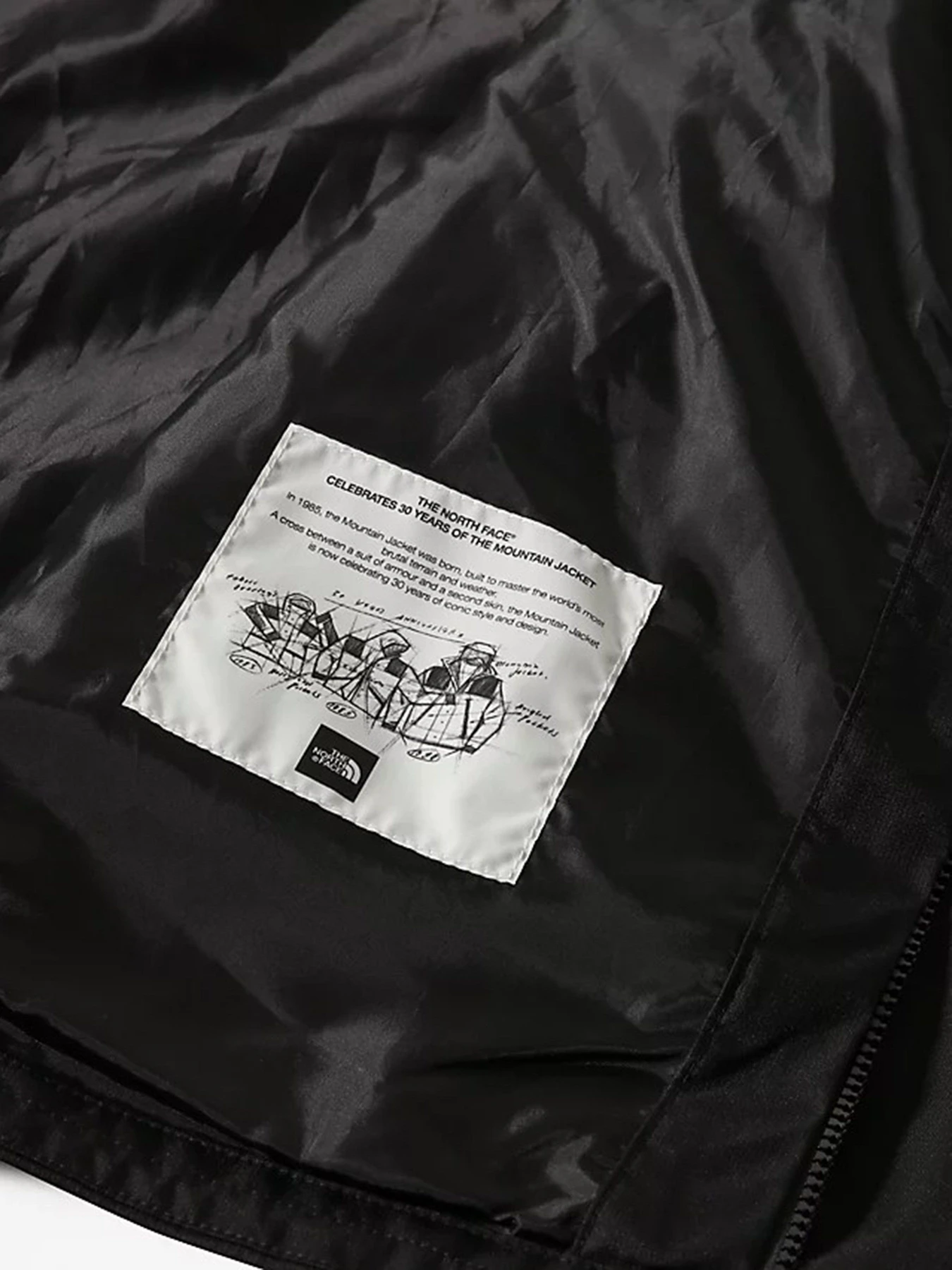 Куртки та дублянки The North Face New Mountain Q модель NF0A5IG2JK31 Фото