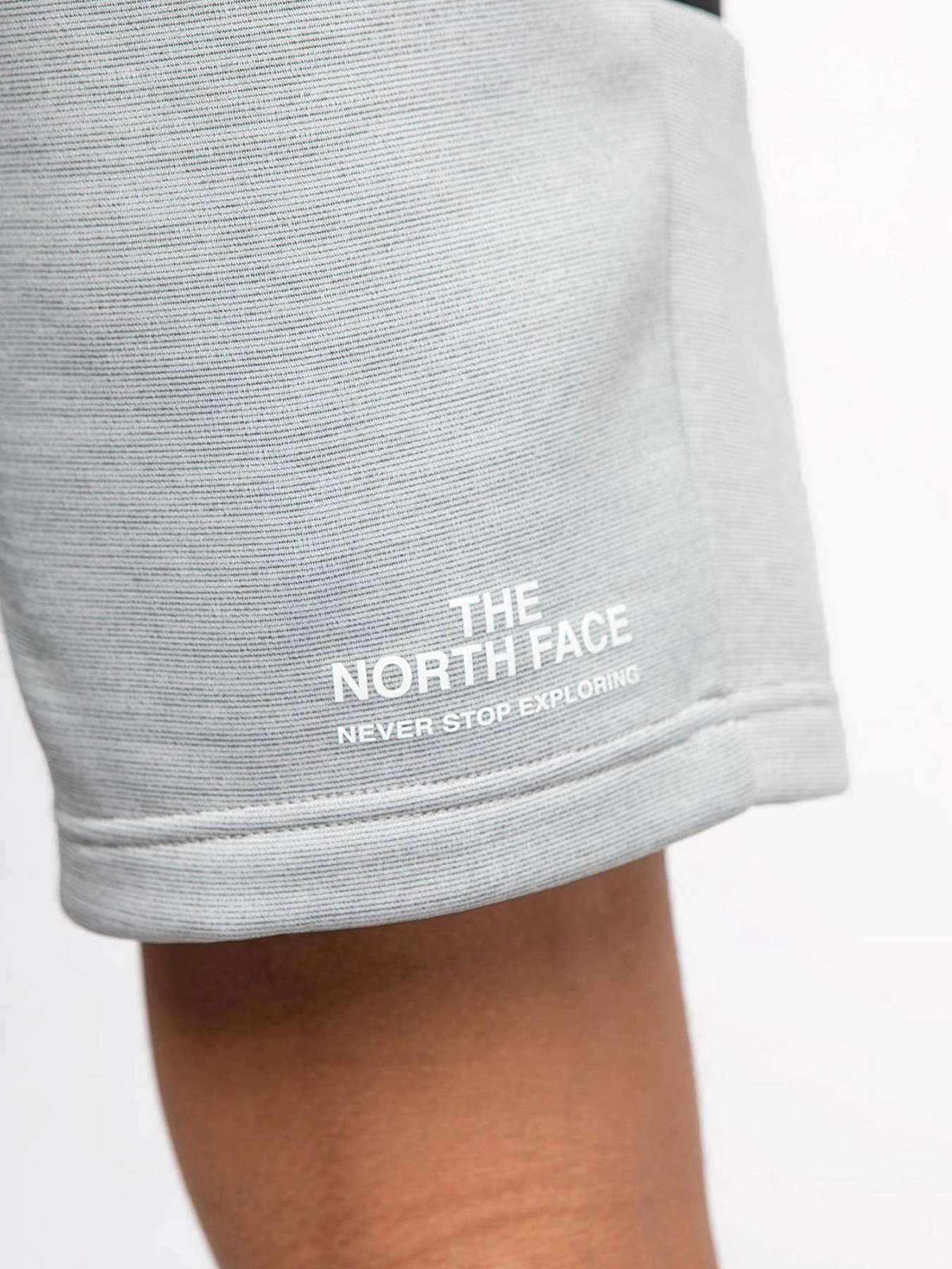 Шорты The North Face Ma Fleece модель NF0A5IEXGAU1 Фото