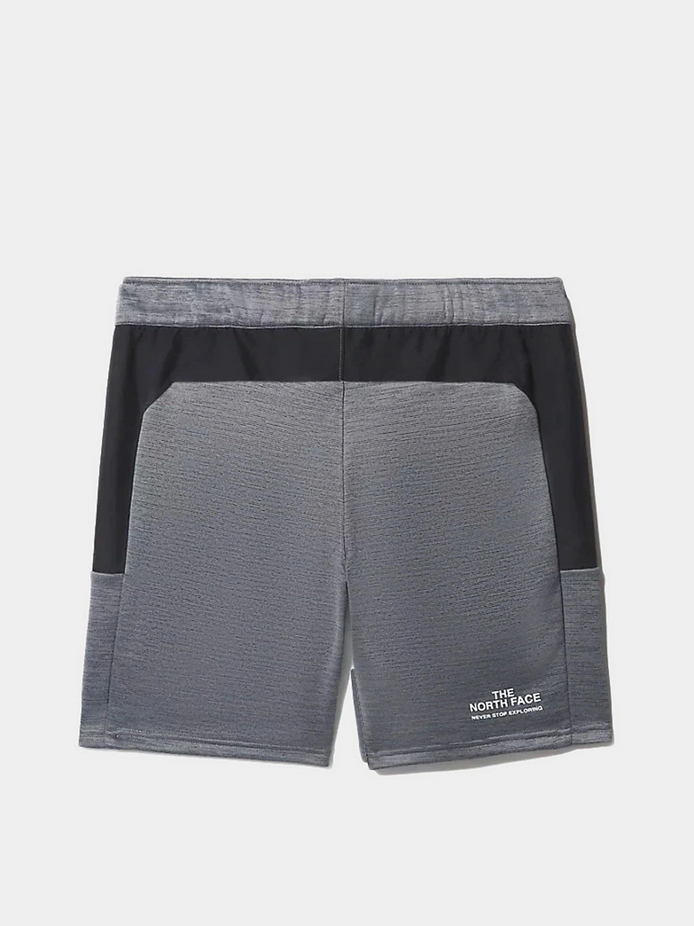 Шорты The North Face Ma Fleece модель NF0A5IEXGAU1 Фото